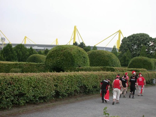 DSCN6770