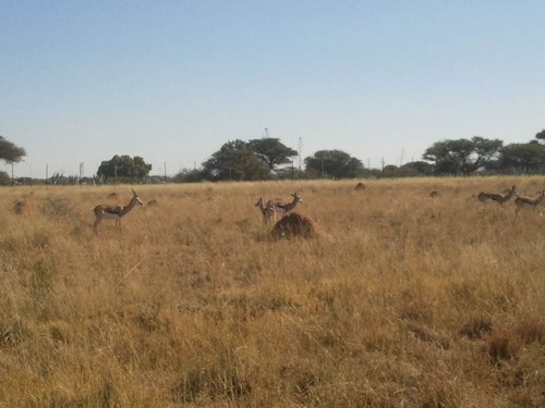 Photo011