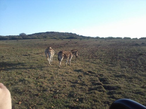 Photo014